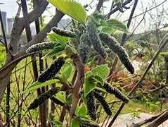 随你花苹果版随手写下载苹果版-第2张图片-太平洋在线下载