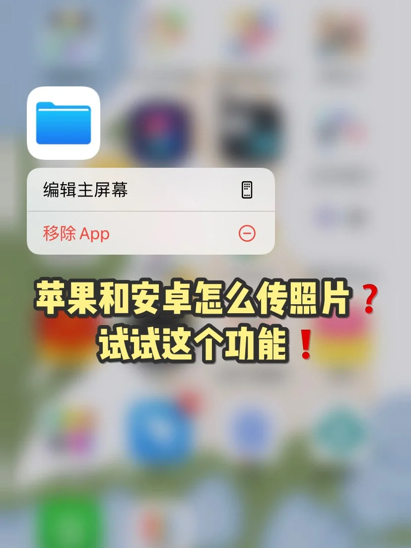 31点安卓版单机21点电脑版-第2张图片-太平洋在线下载