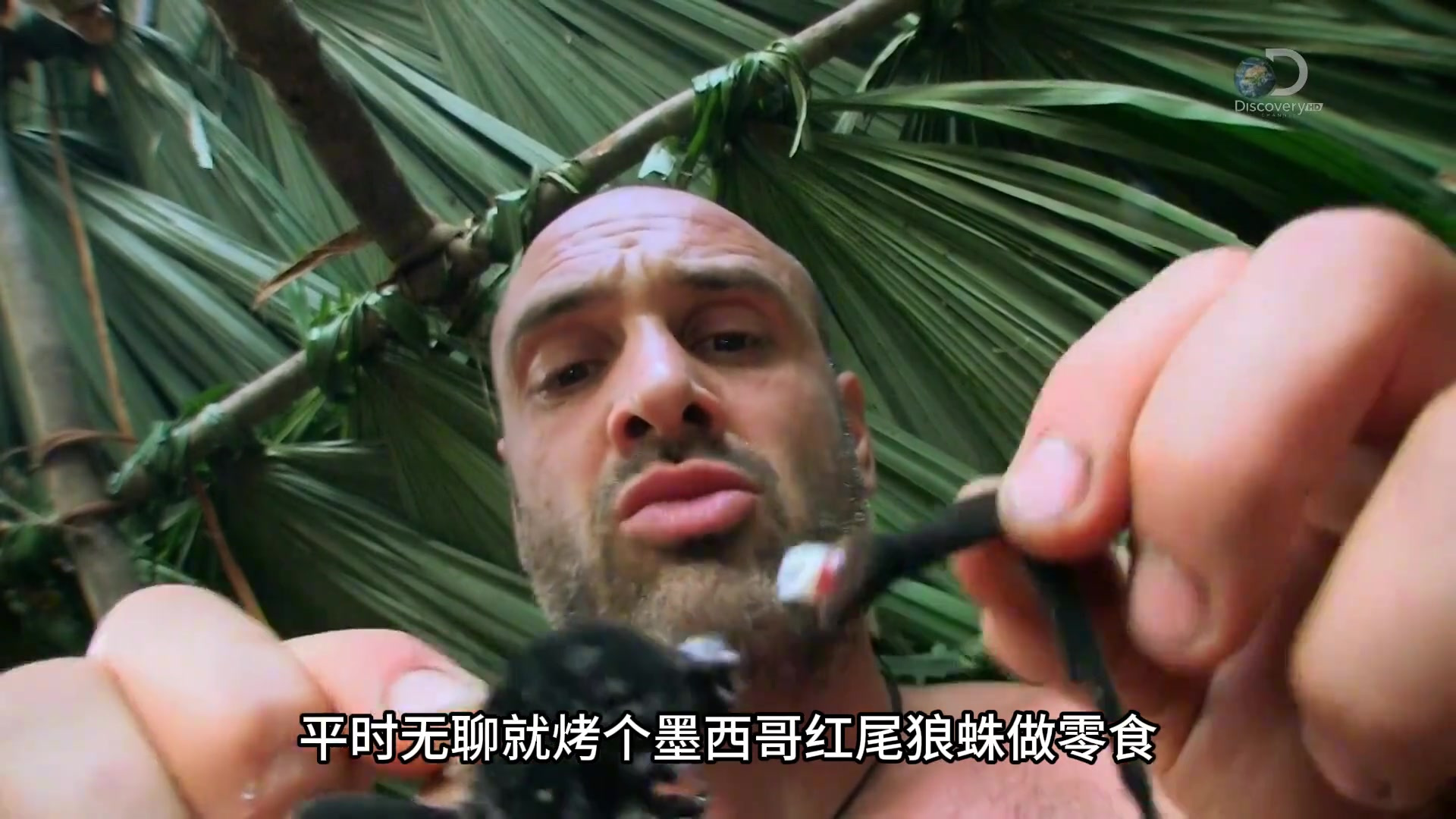 单挑荒野苹果版德爷单挑荒野第一季全集免费在线-第2张图片-太平洋在线下载